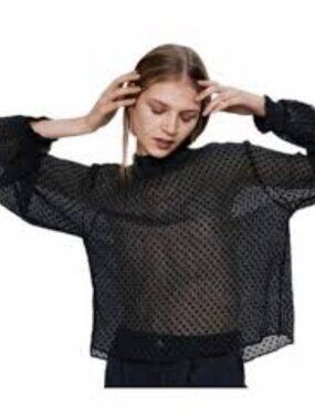 Zara Sheer Black Dotted Mock Neck Blouse